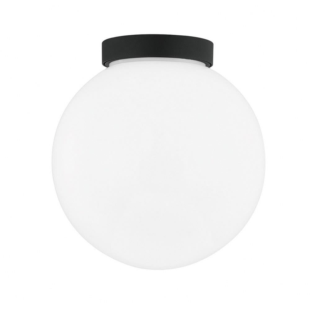 Troy Lighting Ansel - 1 Light Exterior Wall Sconce/Flush Mount - Medium - Textured Black Frame - Opal Shiny Shade