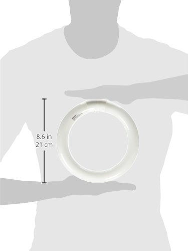 Satco S6500 Transitional Light Bulb, Glass, 8.00 inches, 1 Count, Color