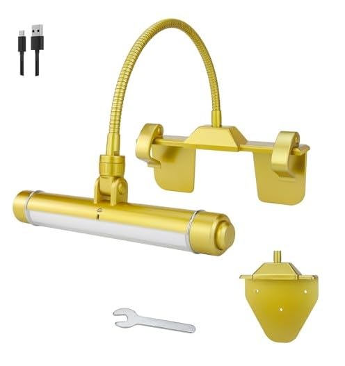 BIGMONAT Wireless Picture Light, Rechargeable, Dimmable, 8.4 inch, Gold, Model B600-Gold, Clip-on Display Lamp for Artwork