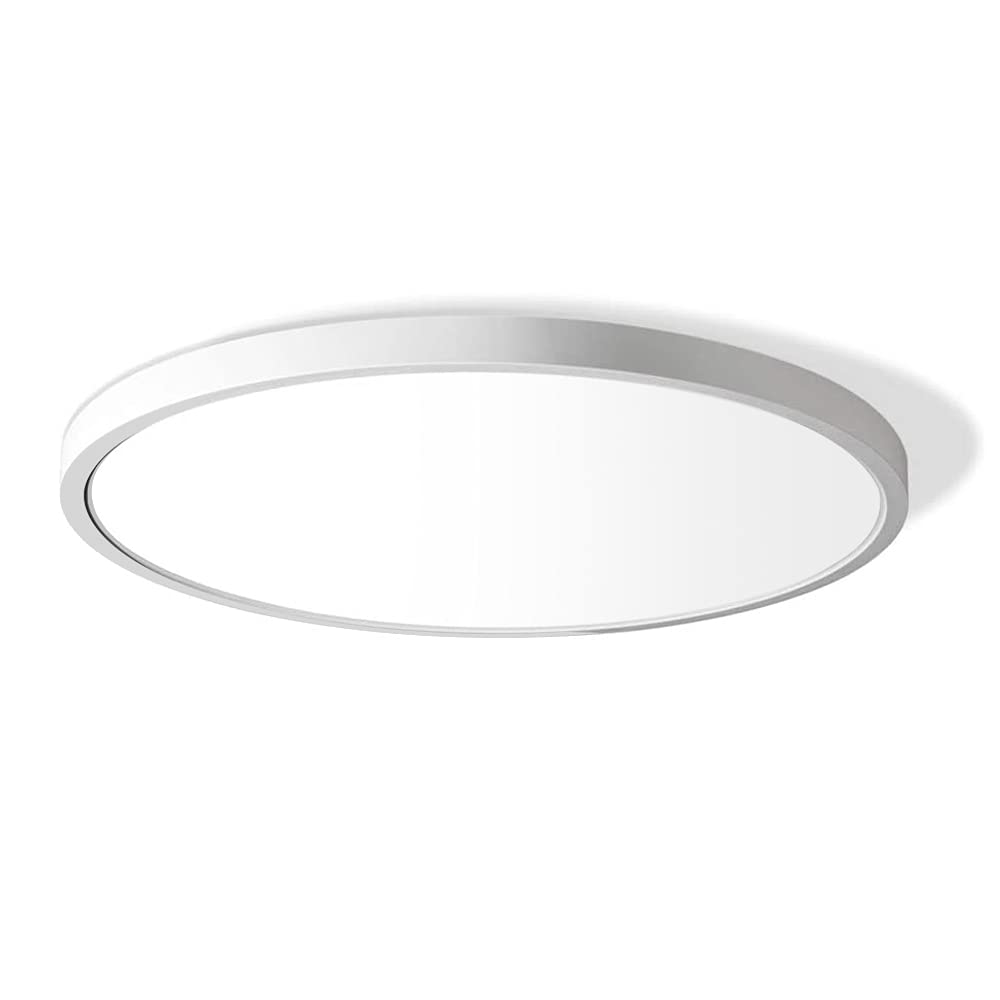 LightingWill 12 Inch LED Flush Mount Ceiling Light Fixture, 6000K Cool White, 3200LM, 24W, Flat Modern Round Lighting Fixture, 2