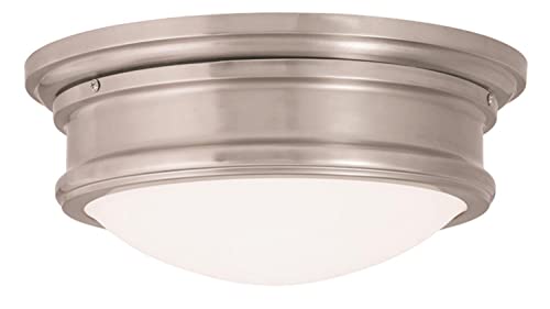 Livex Lighting Ceiling Mount Fixture, Brushed Nickel, Glass, Model 73442-91, 0.1 x 0.1 x 5.5 inches, Astor Collection