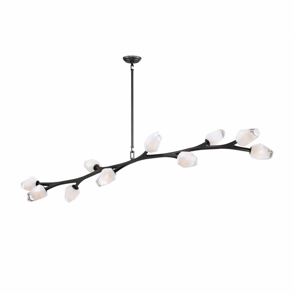 ET2 Lighting Blossom 10-Light 19 Pendant | Black Finish | Steel & Clear and Frosted Glass | Transitional Hanging Pendant Light f