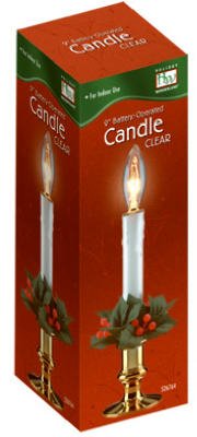 Holiday Wonderland Clear Bulb 9 in. Plastic Model TRVAL33909