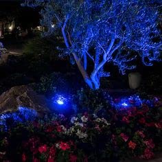 Explux Commercial Lighting Dimmable LED A19 Blue Light Bulbs, 60W Equivalent, 4-Pack, Shatter-resistant Plastic