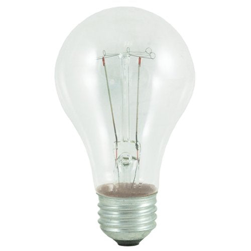 Bulbrite 25-Watt Incandescent A19 Light Bulb, Medium Base Clear, Model 101025, 60 Bulbs