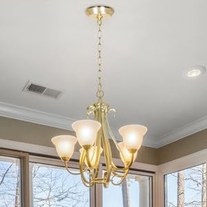 Eumyviv Heavy Duty Gold Chain 10 Feet with 5" Canopy Kit for Chandelier, Model L0019