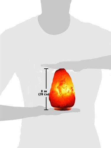 Evolution Salt Himalayan Natural Cystal Salt Lamp