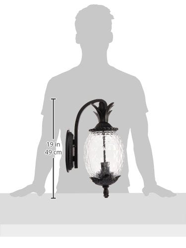 Acclaim 7502Bk Lanai Collection 2-Light Wall Mount Outdoor Light Fixture, Matte Black