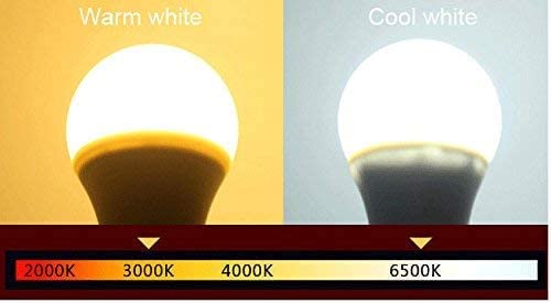 Konpway 12V Low Voltage Led Light Bulbs - Daylight 10W(Only For 12-36V), Pack Of 2