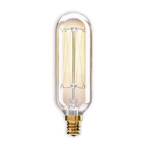 Bulbrite Incandescent T8 Light Bulb, Candelabra Screw Base E12, 1 Count, Antique Glass