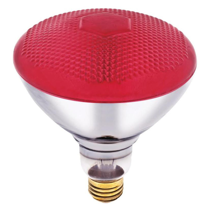 BULB R38 100W RED (Pack of 1)