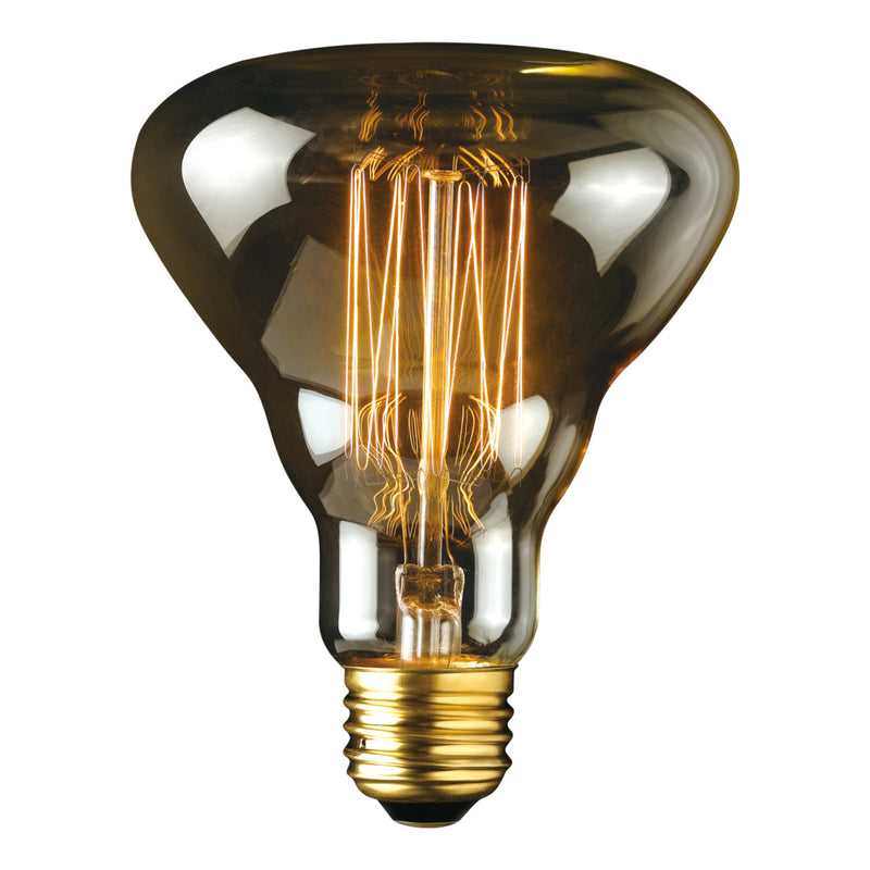 Globe Electric Designer 40W Labo Vintage Bulb, Plastic, 1 Count, Model 84654