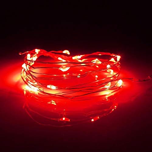 fantado 20 Red LED Micro Fairy String Lights, Wire (6ft, Battery Operated) by PaperLanternStore