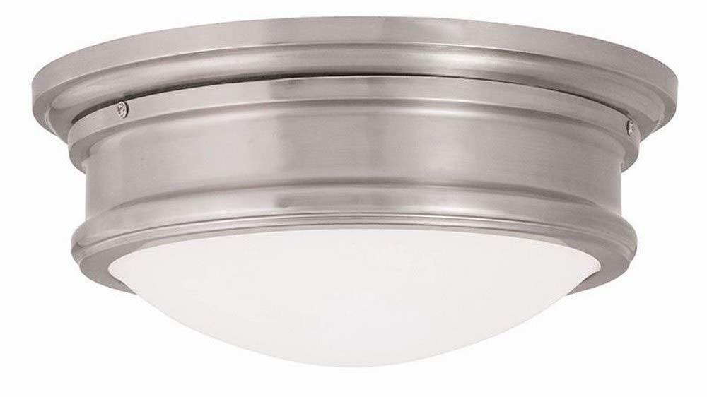 Livex Lighting Ceiling Mount Fixture, Brushed Nickel, Glass, Model 73442-91, 0.1 x 0.1 x 5.5 inches, Astor Collection