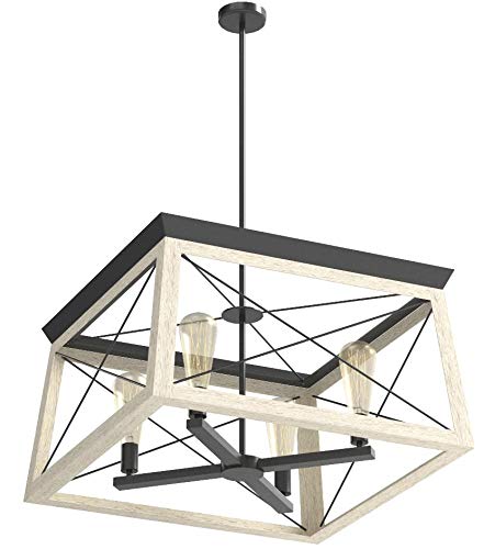 Briarwood Collection 4-Light Coastal Chandelier Light Graphite