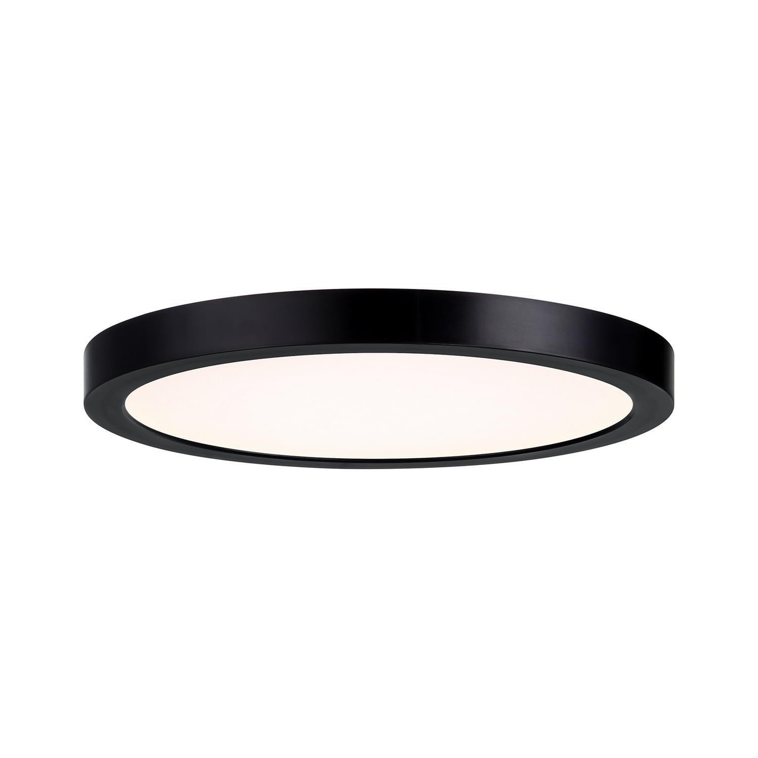 Savoy House 10 in. 20-Watt Modern Black Integrated LED Flush Mount with Clear Shade 6-3333-10-BK