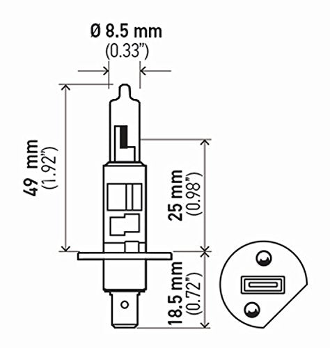 HELLA H1TB Halogen Bulbs - 12V 55W Standard Size, Multi Color, Glass Material