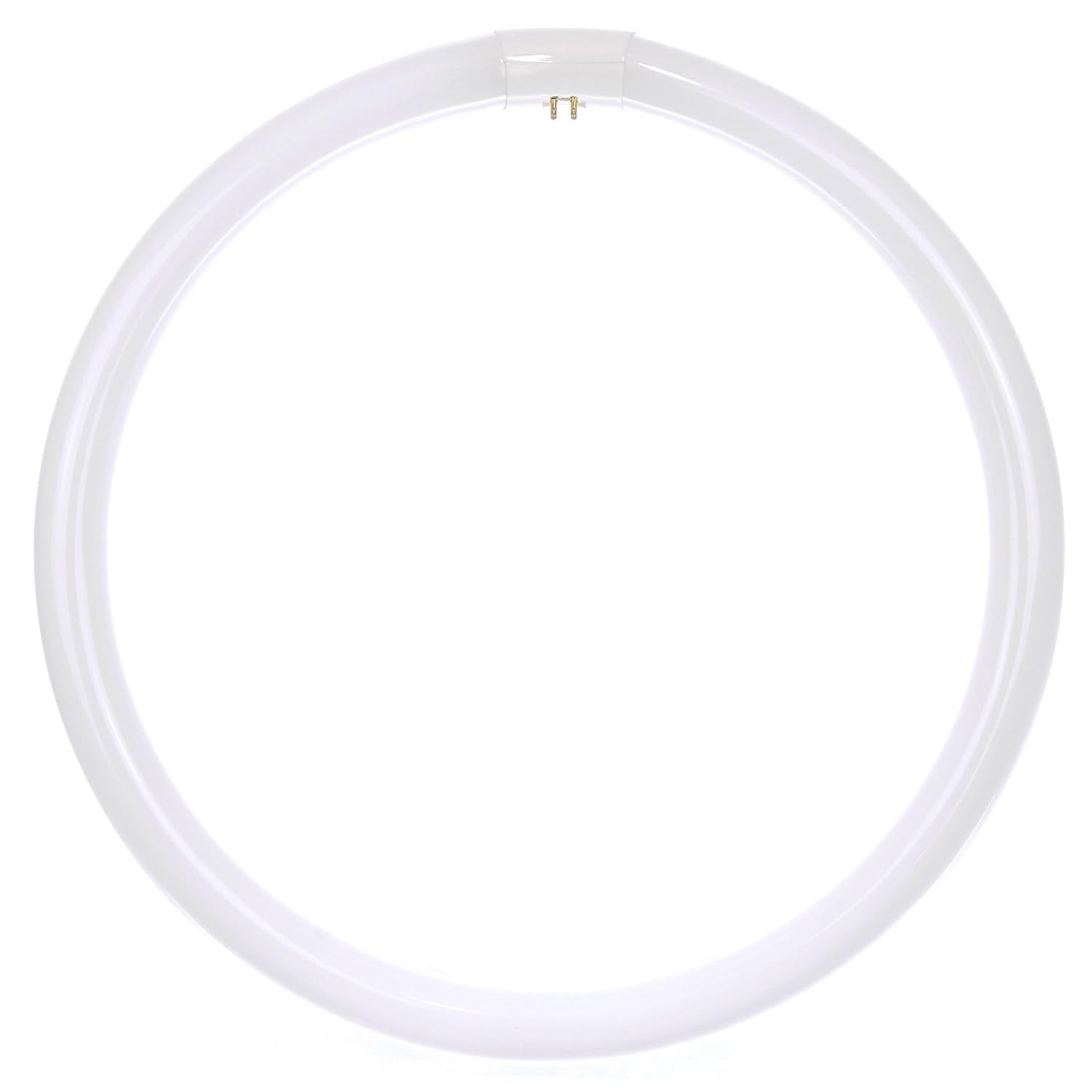 Sunlite FC16T9/DL 40W Circline Fluorescent Lamp, 2600 Lumens, 6500K Daylight, G10Q 4-Pin Base, 