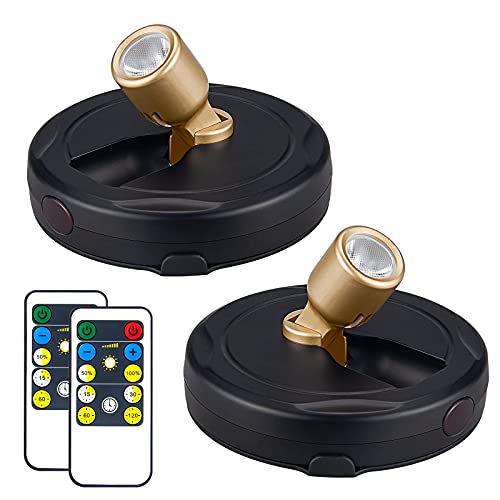 Hamvidne Wireless Led Spotlight, Battery Powered Picture Light With Remote, Gold Accent Light