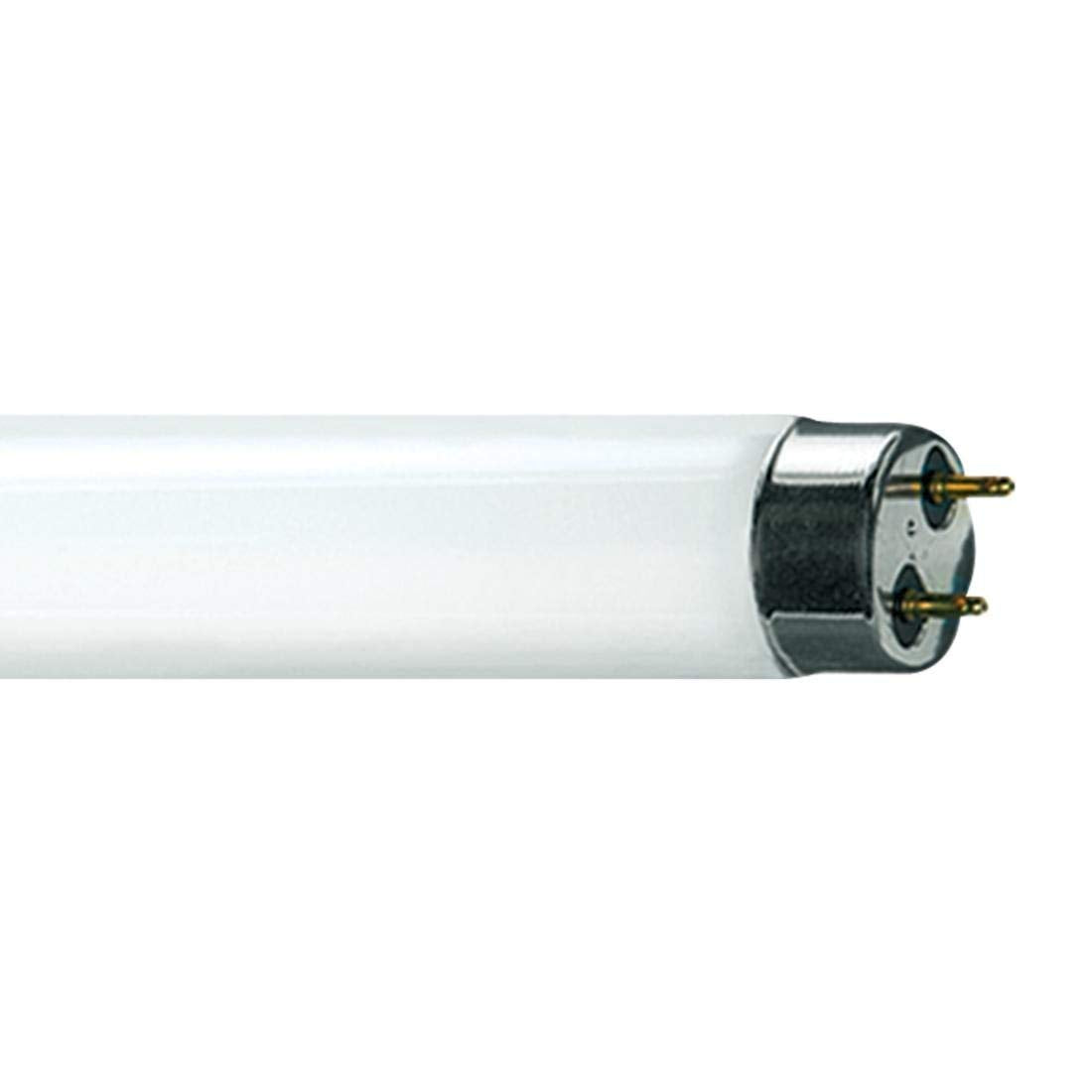 Ge Incandescent Deco Candle, T8 Glass Bulb - Current Professional Lighting 25Cac/F/Cd4-Mpd