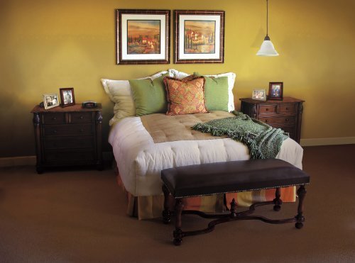 Westinghouse Oil Rubbed Bronze Mini Pendant Kit, 1 Pack, Stylish Lighting Fixture