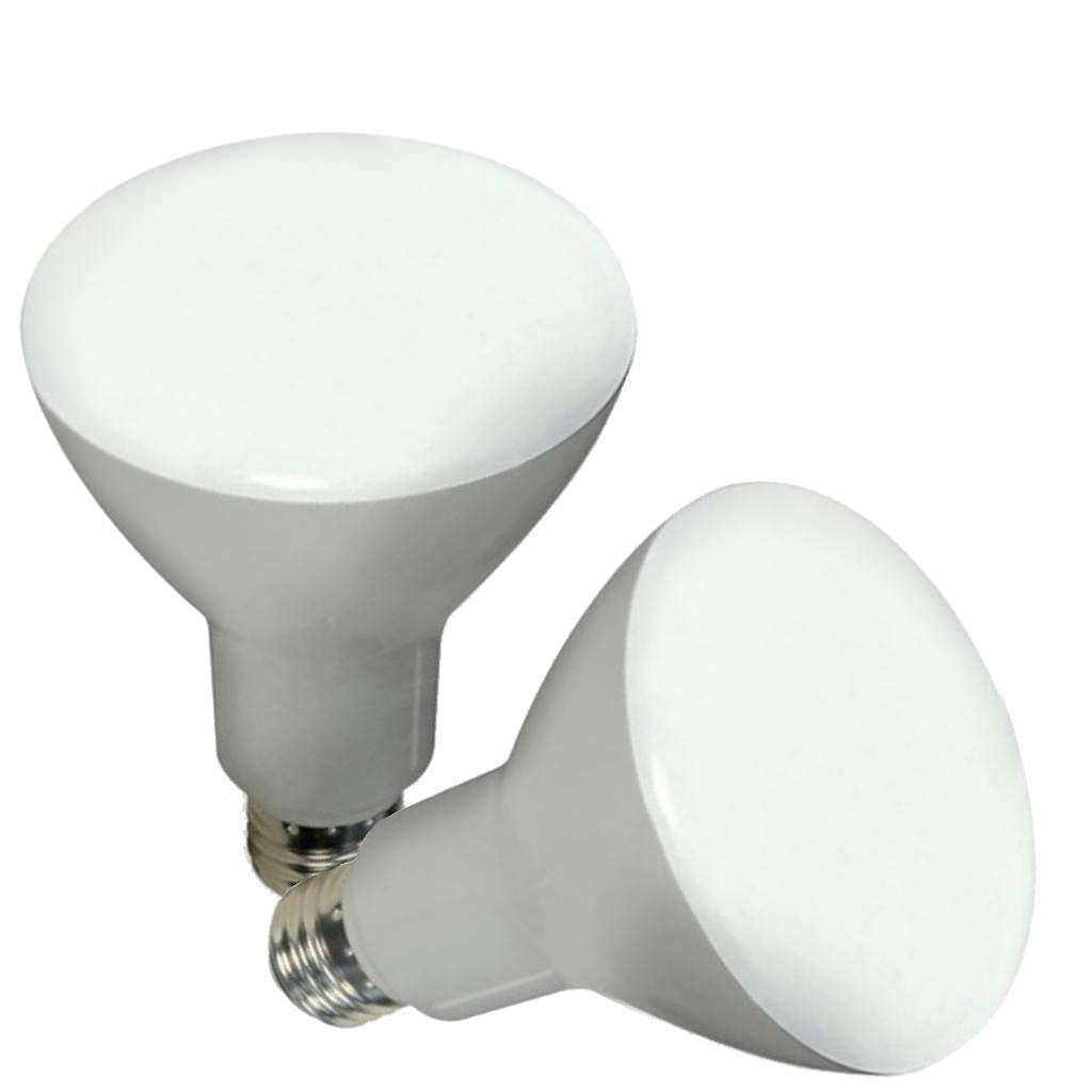 Satco LED BR30 Light Bulbs, 2700K Warm White, 650 Lumens, 2 Count, Model S9698, Plastic