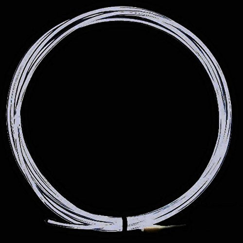 Tdltek Sound Activated Neon Glowing Strobing Electroluminescent Wire/El Wire, White 9Ft