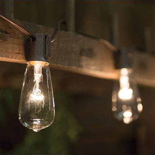 Cwi Gifts Clear Edison Light Strand, 10 Ct., Plastic, Brown/Clear, Model G13854