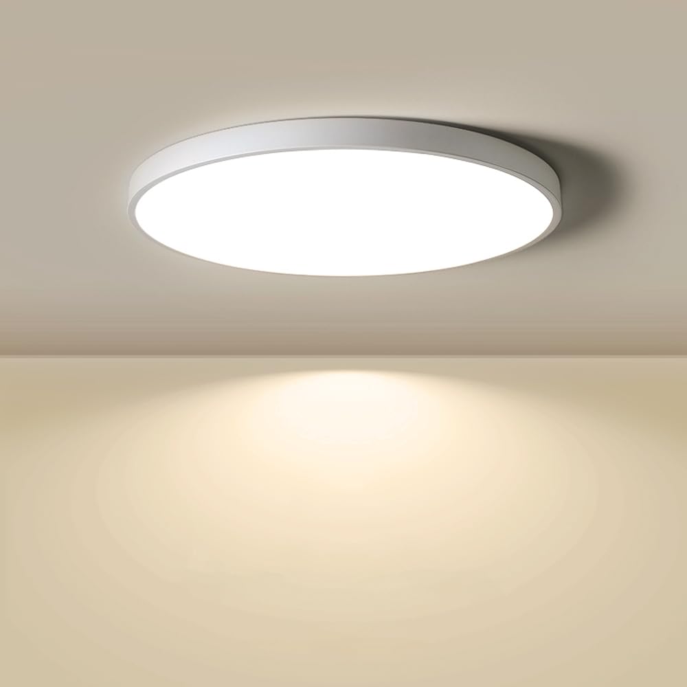 LightingWill 8.9 Inch LED Flush Mount Ceiling Light Fixture, 2800K Warm White, 1800LM, 18W, Flat Modern Round Lighting Fixture, 