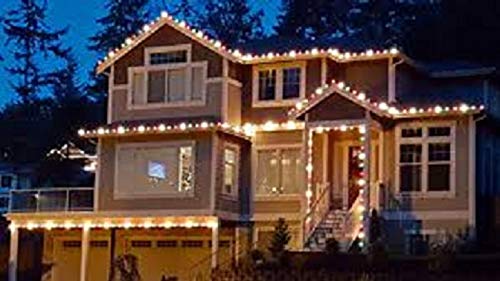 Peafowl Wholesale Peafowl led Rope(Strip) Light IP65 with Adapter (Diwali Light,Home Decoration,Christmas,Festival Light) Warm W