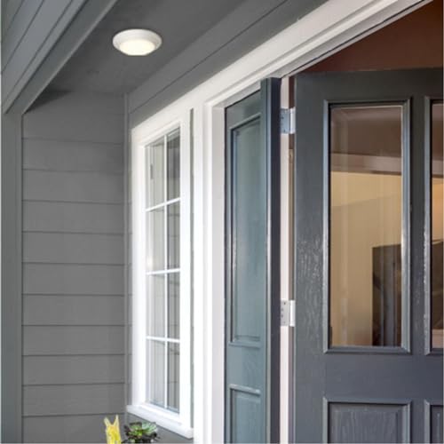 Westinghouse 6133700 Makira Traditional One-Light, 6 Inch 11 Watt Dimmable Led Indoor/Outdoor Surface Mount Fixture With Color T