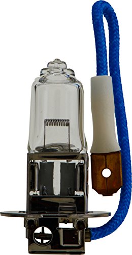 Philips 12455RAB1 H3-100W Standard Fog Bulb (Pack of 1)