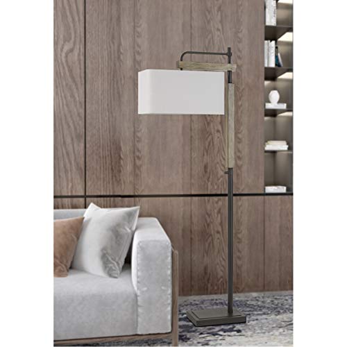 Cal Lighting Bo-2889Fl Transitional One Light Floor Lamp From Alloa Collection In Bronze / Dark Finish, 23.50 Inches