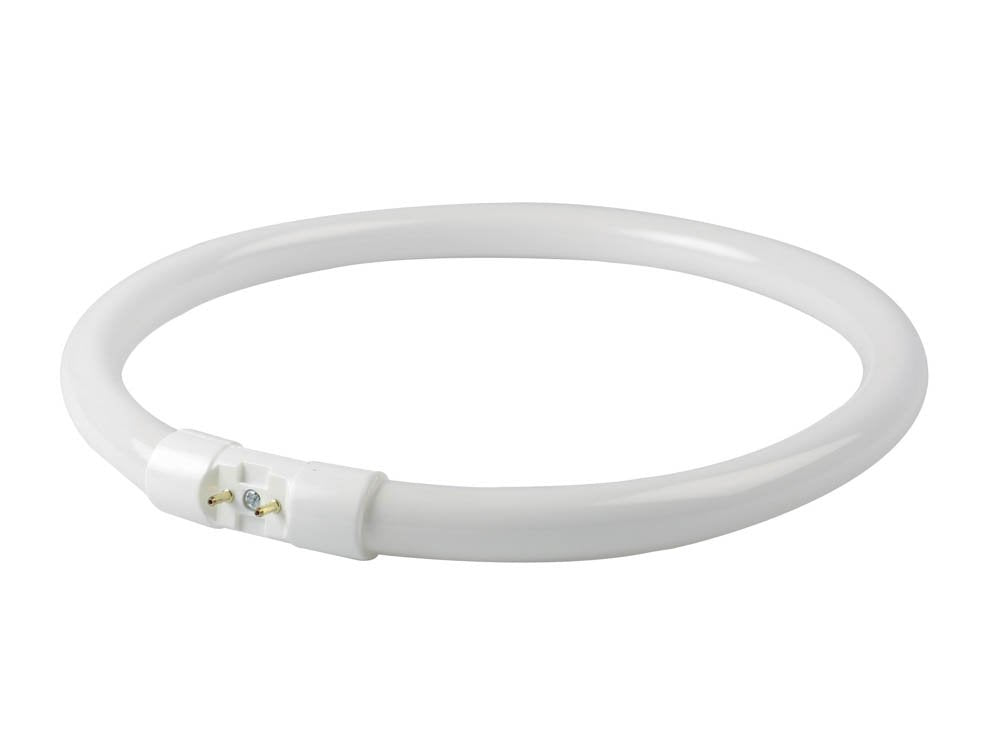 Satco 22 Watt, 9'' Diameter Neutral White T5 Circline Bulb