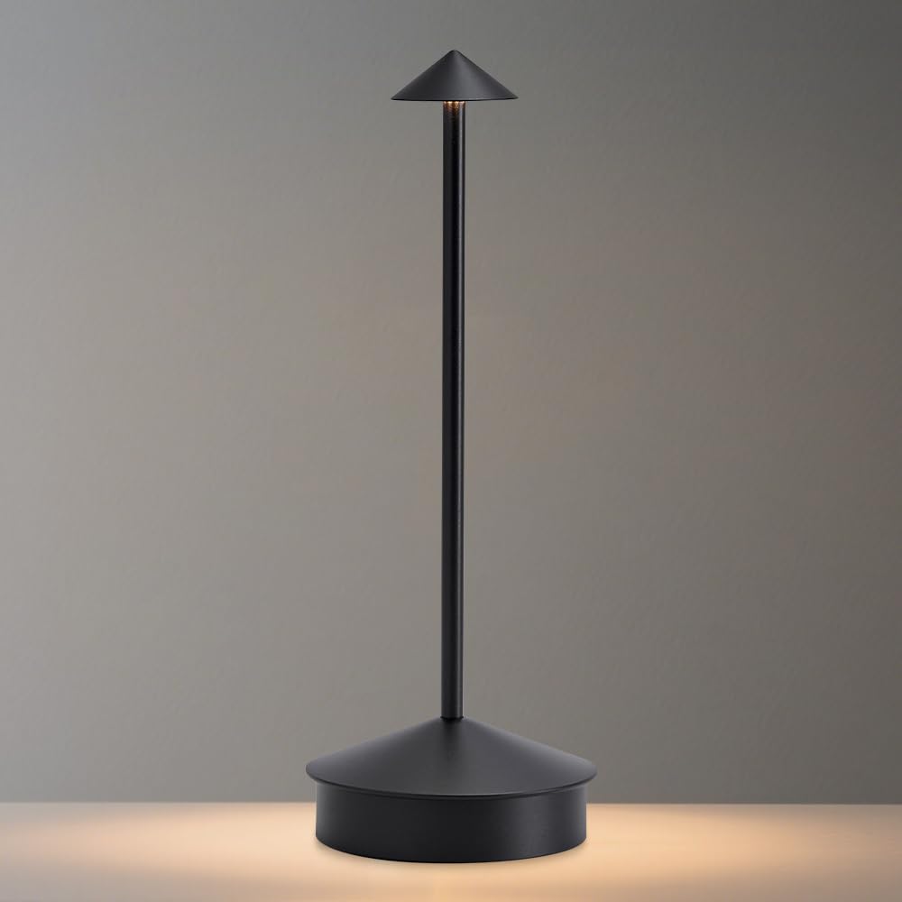 EJQ Cordless Table Lamps, 3 Colors Stepless Dimming Touch Lamp, Outdoor 6000mAh Rechargeable Battery LED Desk Lamp for Bedroom/C