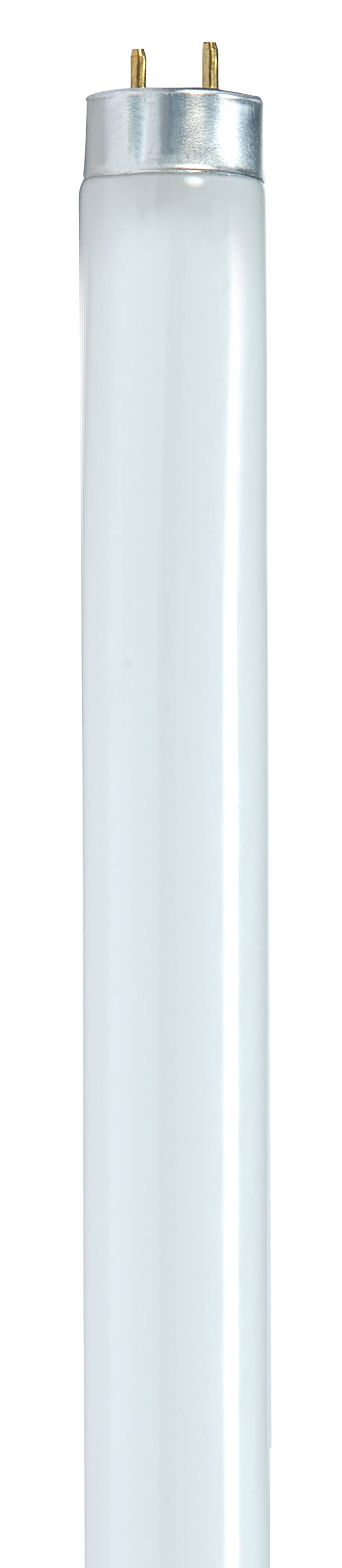 Satco S8406 T8 Energy Saving Lamp, 17W, 4100K, Cool White, 24-Inch, Glass, 1 Count