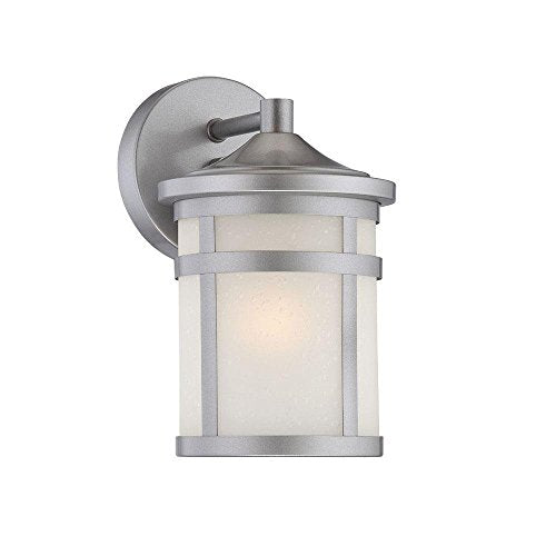 Acclaim 4714Bs Visage Collection 1-Light Wall Mount Outdoor Light Fixture, Brushed Silver