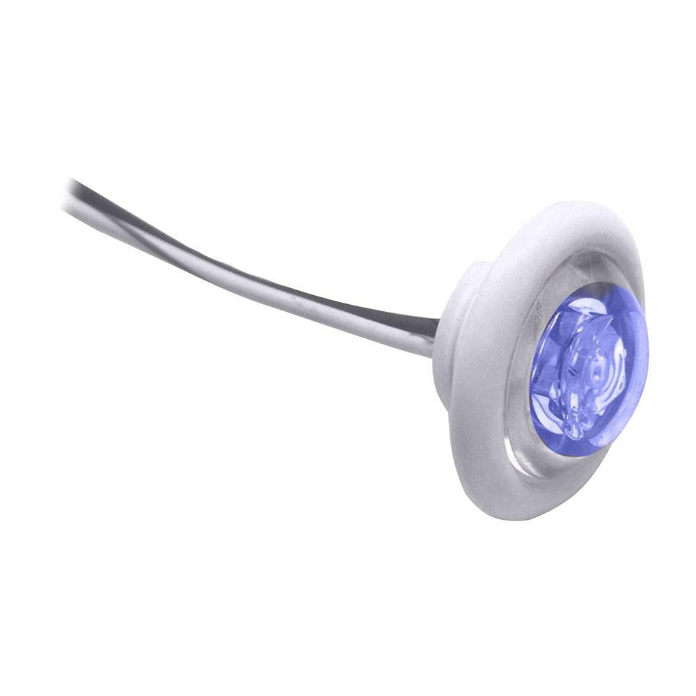 Innovative Lighting Shortie Blue Led Bulkhead/Livewell Light With White Bezel