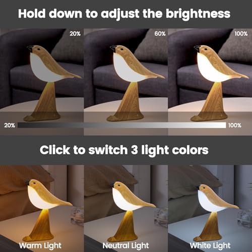 Small Cute Bird Table Lamp With Timer, Touch & Remote Control Bird Night Light, Cordless Bedside Lamps, Desk Lamp For Reading, 3