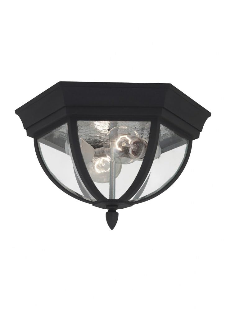 Generation Lighting 78136-12 Wynfield Two Light Outdoor Ceiling Flush Mount Hanging Modern Light Fixture, Black Finish, 2-Light,