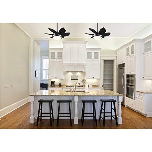 Westinghouse 7224300 Quince 24-Inch Gun Metal Indoor Ceiling Fan, Light Kit With Opal Frosted Glass