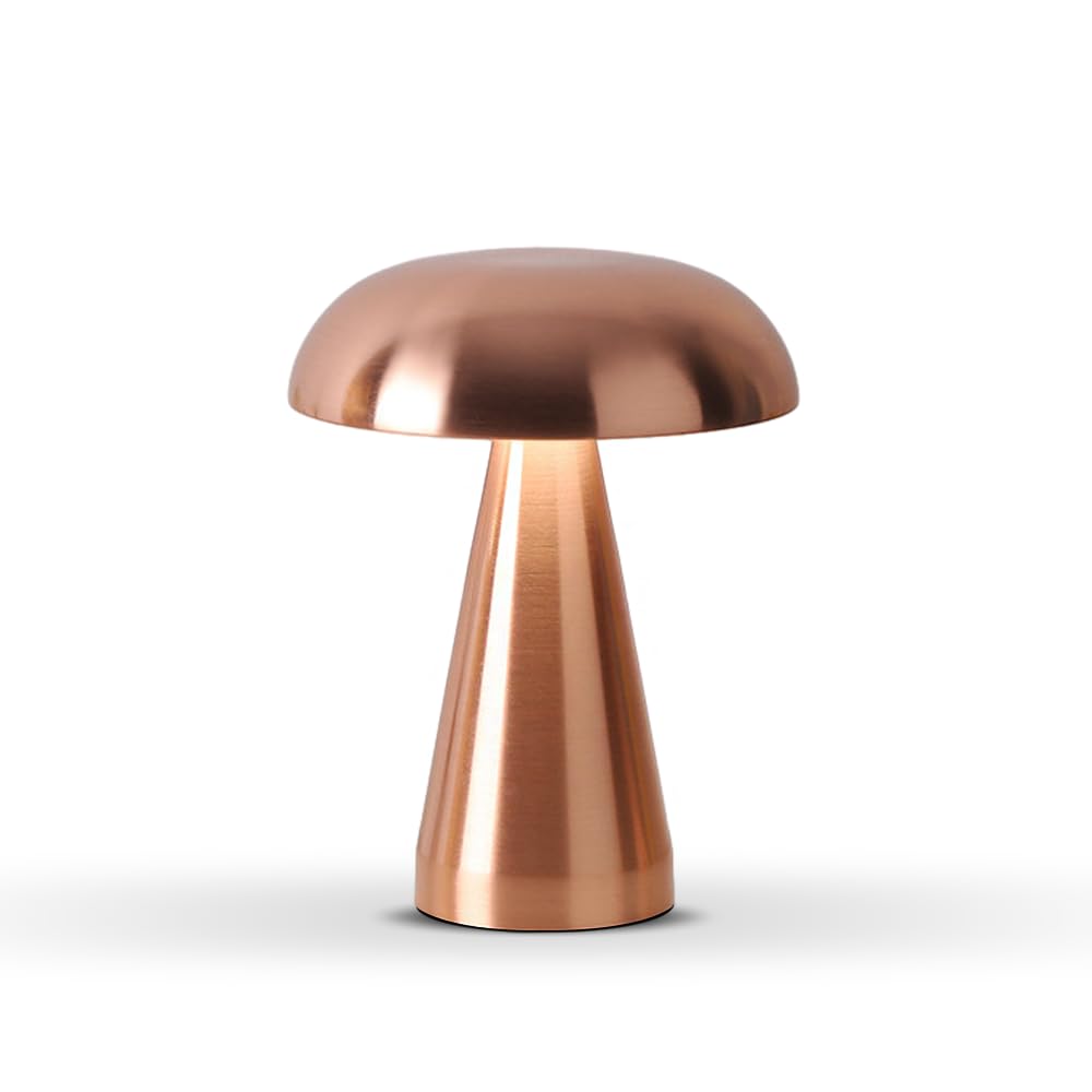 Leroxo Portable Led Table Lamp, Cordless Metal Desk Lamp,3 Color Touch Control Rechargeable Lamp,3-Levels Brightness Room Decor 