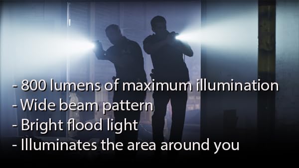 Streamlight 75430 Stinger Led High Lumen Rechargeable Flashlight With 120-Volt Ac/12-Volt Dc Charger And 2-Holders - 800 Lumens