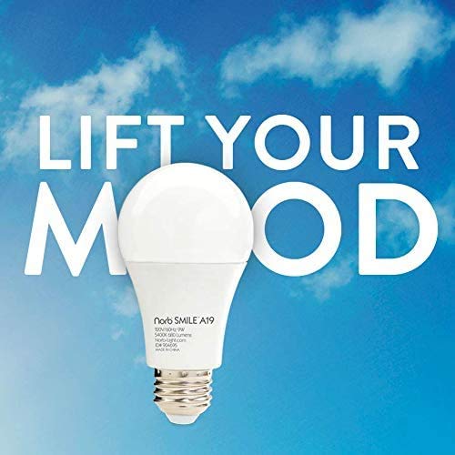 NorbSMILE Full Spectrum Light Bulb A19 9W, 5000K, Boosts Mood & Energy, Circadian Support, 1-Pack