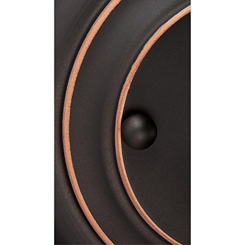 Westinghouse Iron Hill 2-Light Indoor Wall Fixture, Metal, Oil-Rubbed Bronze, Model 6354800