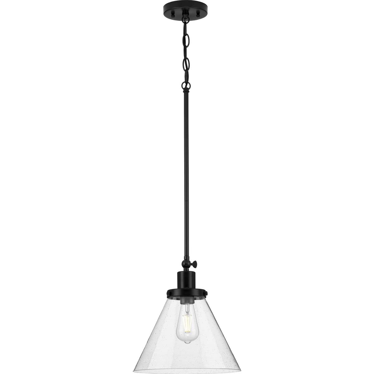 Progress Lighting Hinton Collection 1-Light Pendant Light, Seeded Glass, Matte Black, 12.50x12.00x12.00, Alloy Steel, Model P500324-031
