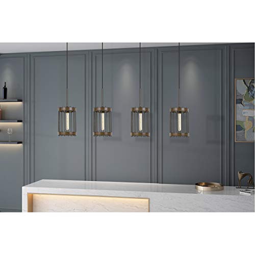 Cal Cantania 60W Metal Pendant Fixture, Model FX-3700-1, Edison Bulbs Not Included, Metal Finish
