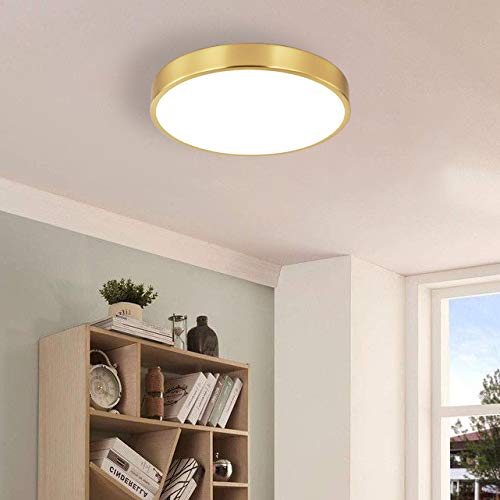 Sottae 2 Pack 12 Inch Brushed Gold Metal Flush Mount Led Ceiling Light,3000K-5000K 20W Thin Round Ceiling Lamp,Modern Low Profil