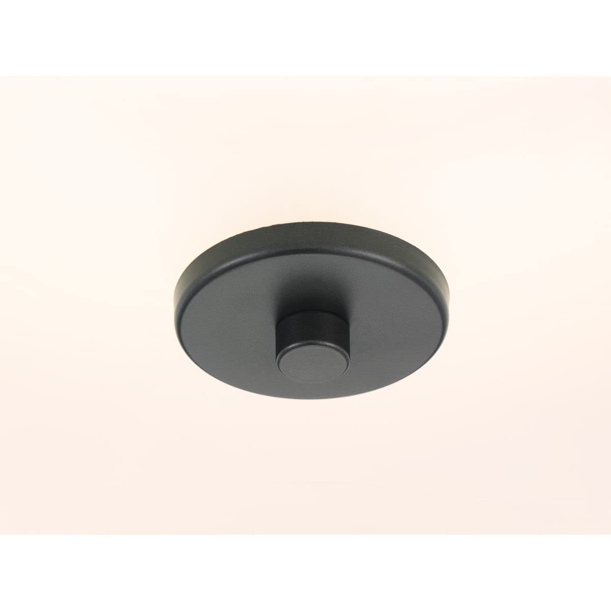 Progress Lighting Inspire Collection 13'' Two-Light Semi-Flush, 10.13X13.00X13.00, Black
