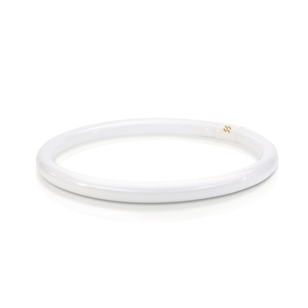 Philips 40W Cool White T9 Circline Bulb - 16In Diameter, 1 Count Pack
